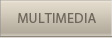 multimedia